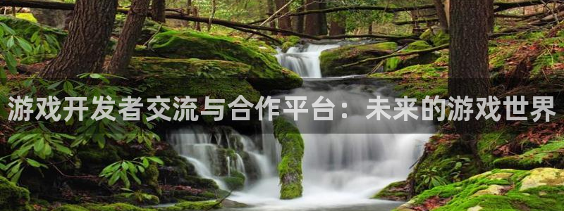 pp电子智邦(北京)品牌策划有限公司：游戏开发者交流与合作平台：未来的游戏世界