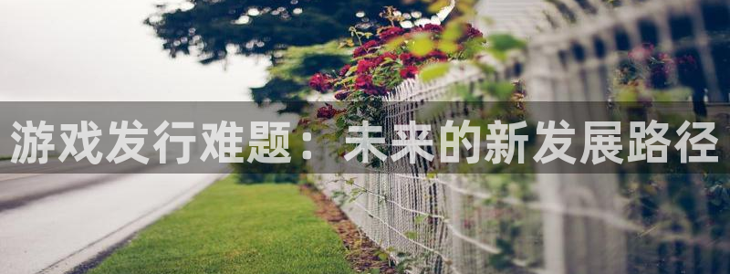pp电子官网注册方法是什么样的：游戏发行难题：未来的新发展路径