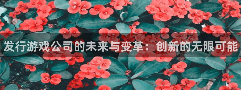 pp电子官网注册平台怎么样可靠吗：发行游戏公司的未来与变革：创新的无限可能