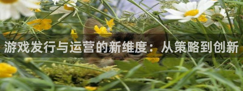 pp电子官网的奇趣腾讯是真的吗还是假的：游戏发行与运营的新维度：从策略到创新