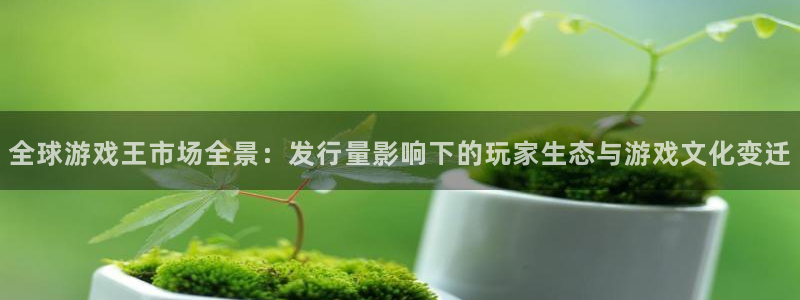 pp电子环境