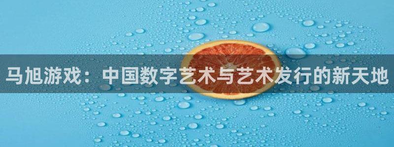 pp电子多少钱
