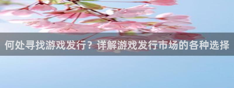 pp电子子出版社：何处寻找游戏发行？详解游戏发行市场的各种选择