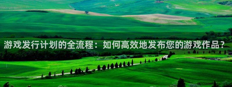 pp电子官网注册平台怎么注册的：游戏发行计划的全流程：如何高效地发布您的游戏作品？
