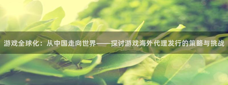 pp电子官网注册方法：游戏全球化：从中国走向世界——探讨游戏海外代理发行的策略与挑战