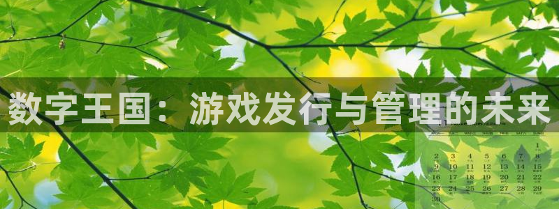 pp电子子音乐：数字王国：游戏发行与管理的未来