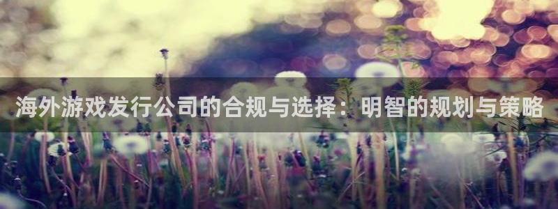 pp电子官网平台怎么样：海外游戏发行公司的合规与选择：明智的规划与策略