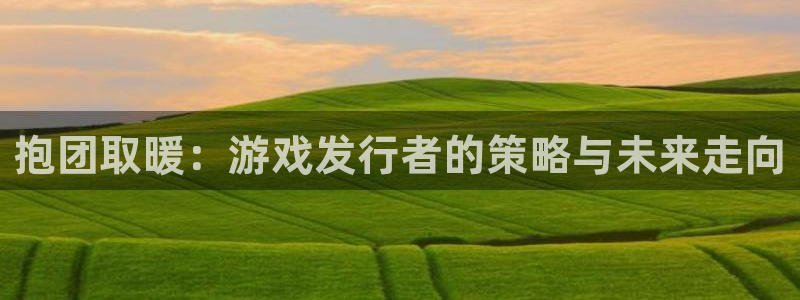 佛山pp电子电子商务：抱团取暖：游戏发行者的策略与未来走向