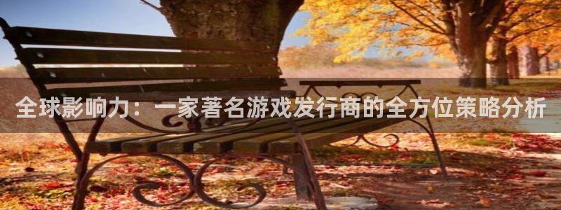 pp电子子出版社董事长：全球影响力：一家著名游戏发行商的全方位策略分析