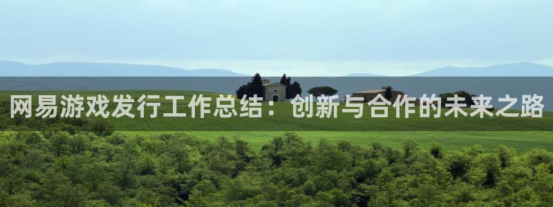 pp电子logo：网易游戏发行工作总结：创新与合作的未来之路