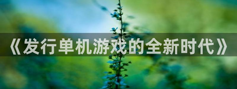 重庆pp电子子文化传播有限公司：《发行单机游戏的全新时代》