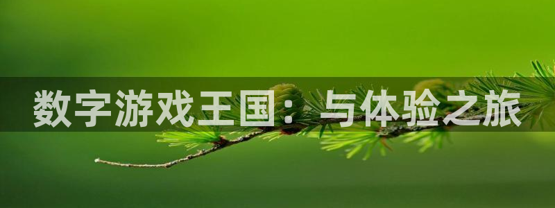 法国pp电子官网：数字游戏王国：与体验之旅