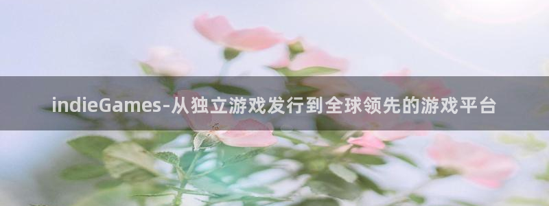 pp电子官网平台代理开号怎么开