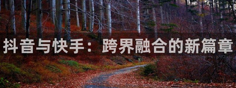 pp电子子猫图片