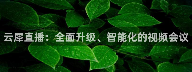 9255tv直播nba在线观看：云犀直播：全面升级、智能化的视频会议