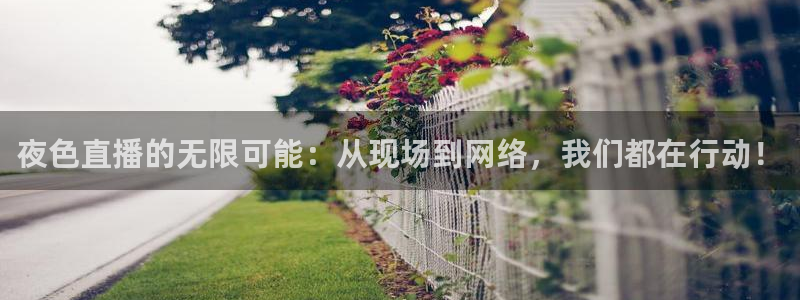 9255tv直播无插件nba：夜色直播的无限可能：从现场到网络，我们都在行动！