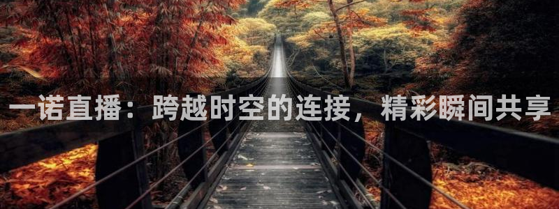 9255tv直播无插件nba：一诺直播：跨越时空的连接，精彩瞬间共享