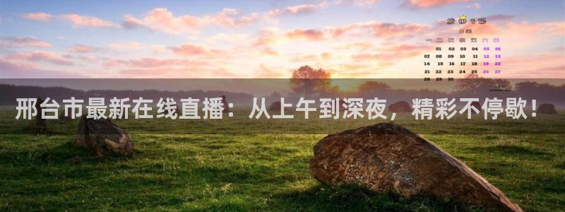 9255tv直播nba在线直播：邢台市最新在线直播：从上午到深夜，精彩不停歇！